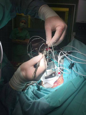Udana operacja w Opolu